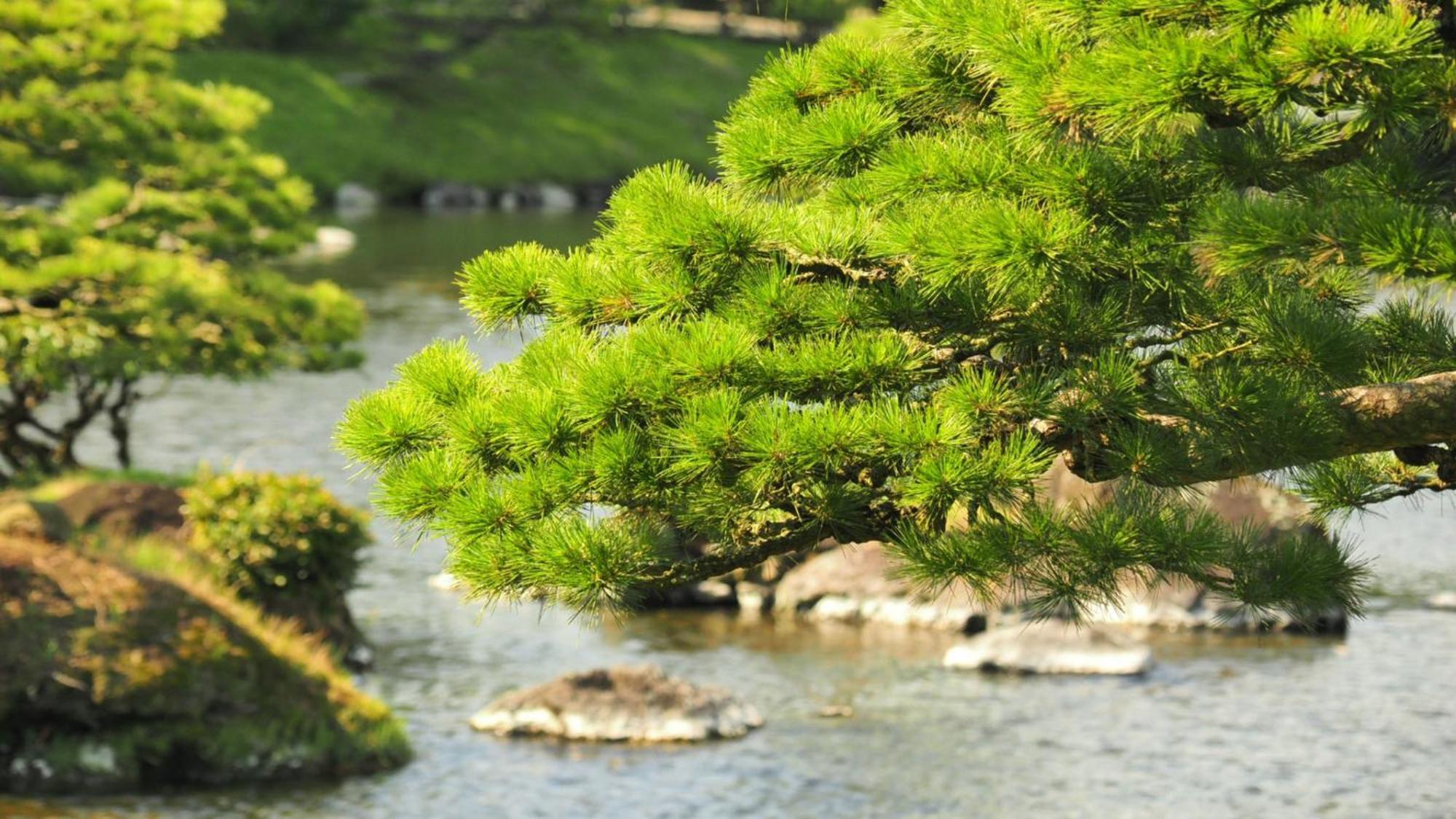 Toyoko Inn Kumamoto Shin-Shigai Eksteriør bilde